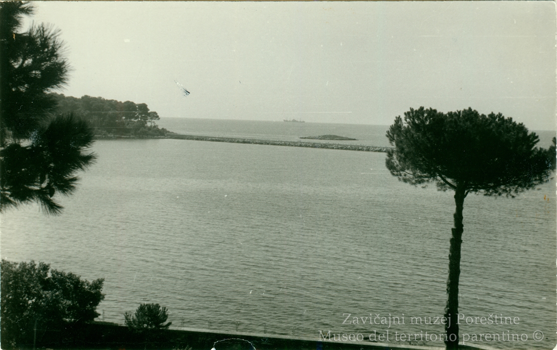 Image description